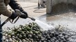 © Stitch - Worker using a high pressure hose nozzle to wash mud and algae off a pile of golf balls