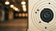 © DailyLens Studio - Bullet holes on a paper shooting target inside a professional shooting range facility.