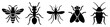 © eclipse - Insect icons set. Pest control symbols. Bee, ant, mosquito, fly, cockroach icons. Solid black silhouette style