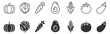 © Наталья Перова - set of vegetable icons including pumpkin cabbage carrot avocado corn tomato and eggplant on transparent background