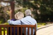 © BillionPhotos.com - Portrait of happy senior couple in park
