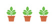 © Александр Михайлюк - Bright open room shows identical office plants standing in a row, same pot size and leaf silhouettes evenly spaced on a pure white