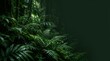 © SA-Ai  - Lush green tropical plants and ferns in a dense forest environment