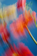 © THAIS VARELA/Stocksy - Flowers in motion with colorful blur on blue background during the day