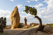 © Raymond Forbes LLC/Stocksy - Landscape tree balance Stone photographer in Desert
