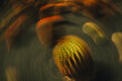 © THAIS VARELA/Stocksy - Swirling patterns of color create movement and depth in the design