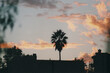 © Meg Pinsonneault/Stocksy - Shot on Film: Classic Los Angeles Sunset
