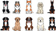© sumi - Cute domestic dog breeds collection flat vector illustration set with sitting puppies including shepherd retriever bulldog doberman and mixed breeds