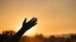 © Putri - Silhouette of hands reaching towards a sunset sky.