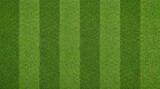 Football Soccer Background with Green Grass Field Close Up Texture