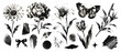 © aura studio - Butterfly flower photocopy retro collage set with daisy peony lily, halftone grain, y2k grunge botanical shapes and vector illustration