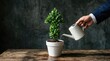© The Galaxy  - Professional hand in a navy blue suit sleeve uses a white watering can to nurture a green arrow shaped plant