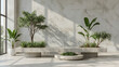 © siraphol - Indoor concrete planter bench with potted tropical plants and soft sunlight casting shadows