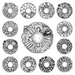 © MDBayazid - Assortment of Circular Vegetable Platters with Dip in Center presented overhead with clean lines and fresh produce