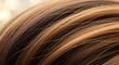 © Ida - Close-up of Beautiful Brown and Blonde Hair Texture, Showing Strands and Highlights.