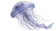 © Lisa - Translucent purple jellyfish with delicate tentacles and water droplets