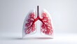 © Pan - Transparent lungs with branching red vascular network on white background