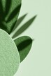 © EdvvinStudios - Green shapes cast shadows on a light green background in a minimal art display with soft textures and simple design