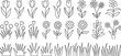 © AIcon Star - flower floral vector collection tulip daisy grass line drawings set