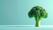 © Qwini - Fresh green broccoli head on a clean pastel blue background