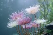 © MdMoinul - a group of pale pastel flowers with numerous long, thin tentacles, growing in an underwater environment.