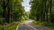 © Poly01 - Winding road through a lush green forest with a car driving away