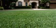 © miss irine - Lush green lawn in front of a modern house with a clean driveway. This manicured yard offers a low maintenance landscape. Perfect for suburban lifestyle content.