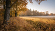 © bephoto - 秋の朝に黄金色の牧草地と紅葉の木々が輝く自然写真