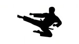 Karate Martial Arts High Kick Silhouette Icon Graphic