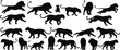 © Minara - Lion and Big Cat Silhouettes Collection with Walking, Roaring, Sitting, and Jumping Poses Vector Illustration Set for Wildlife, Safari, and Predator Design