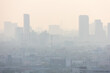 © wannasak - Silhouettes of tall modern city skyscrapers covered in thick toxic smog and heavy air pollution.