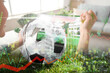 © Pixel-Shot - Happy young woman with money and laptop after winning her sports bet at home, closeup