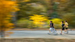 © PATMALUPHOTO - People jogging on a trail during autumn, capturing an active outdoor lifestyle and health concept in Central Park, Manhattan, New York City, USA.