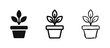© drawing lines - Potted plant icons set in solid, linear, and sketchy styles for gardening and interior design concepts