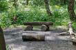 © Татьяна Зернова - There is a wooden bench on the lawn with trees in the background