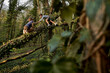 © Westend61 - Boy helping sister climbing on tree in forest