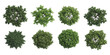 © ZenVectors - Set of eight green trees viewed from above for architectural landscape design and garden planning projects