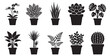 © heem - Collection of diverse potted houseplant silhouettes displayed on transparent background