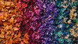 © come - A colorful gradient of dried flower petals and small buds arranged in a spectrum from warm orange to cool blue on a neutral wooden background