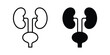 © Warpiya - Urinary System icon for web and app design, design element.