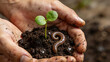 © Nai - People hold soil with a sprout and a worm during gardening in the afternoon sunlight