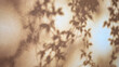 © mocklyn - Soft shadows of leaves cast on a textured surface, creating an artistic interplay of light and shadow. The warm tones enhance the natural beauty.