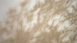 © mocklyn - Abstract background featuring soft shadows of foliage on a light beige surface, creating a calming and natural ambiance.