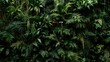 © The 2R Artificiality - vertical greenery display with tropical ferns and epiphytes on a soft black backdrop