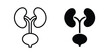 © Surya - Urinary System icon