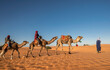 © Cavan Images - group of friends enjoying a camel ride in the Sahara
