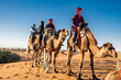 © Cavan Images - group of friends enjoying a camel ride in the Sahara