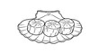 © Suro - Sushi rolls on a plate.