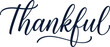 © Nadira - Vector illustrator thankful typography on transparent background