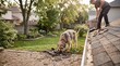 © Aan - Dog watches as homeowner repairs roof shingles in backyard.